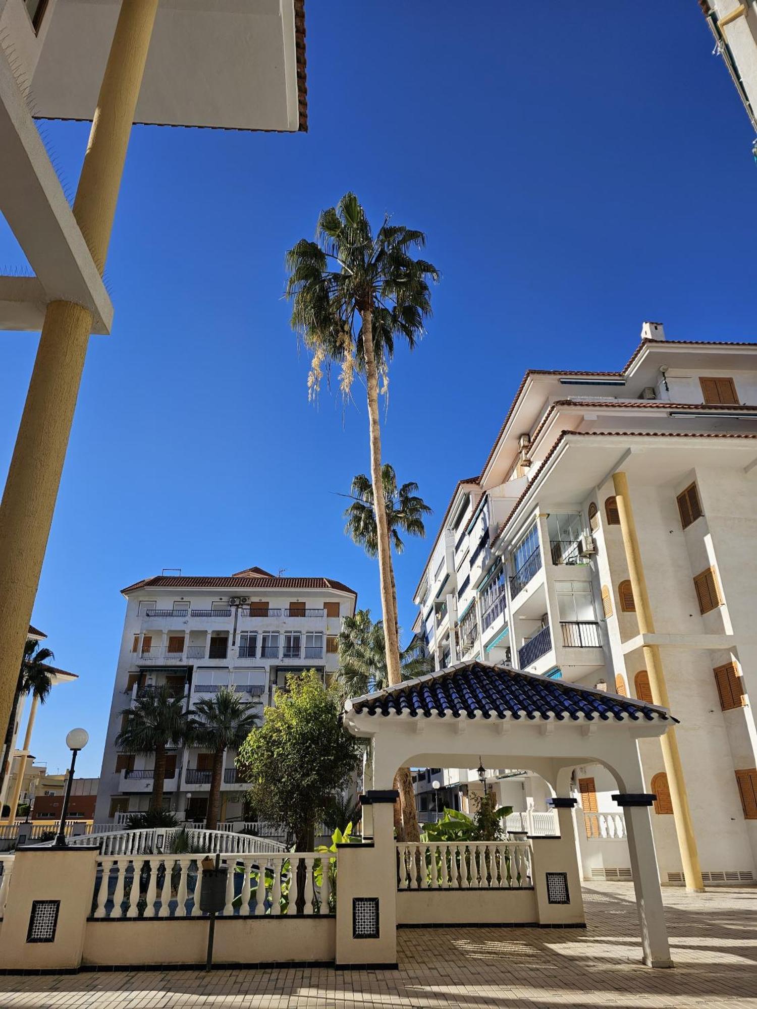 At Costa Blanca - Cozy Apartment With Pool La Mata  Esterno foto